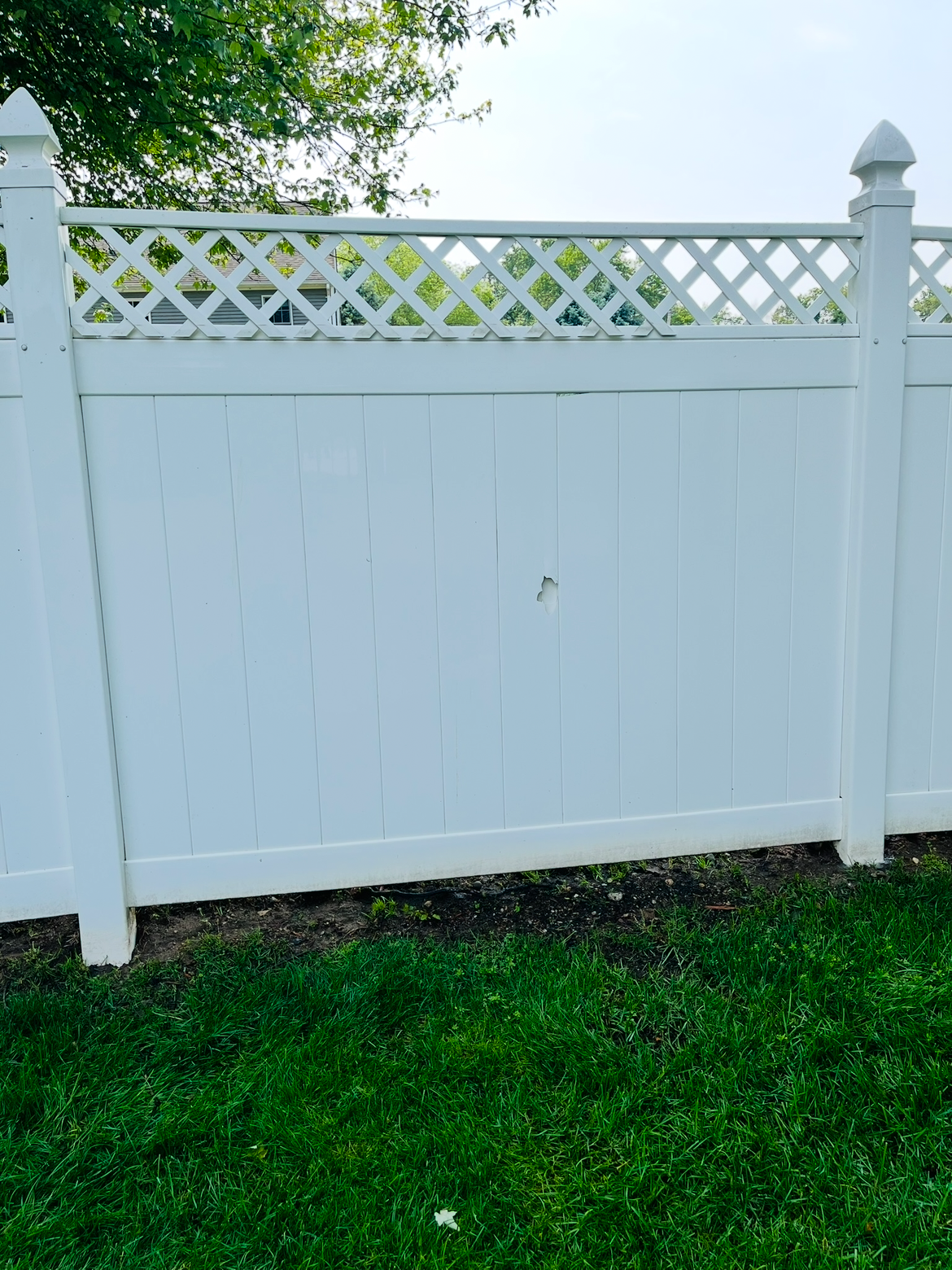 After – fence cleaning