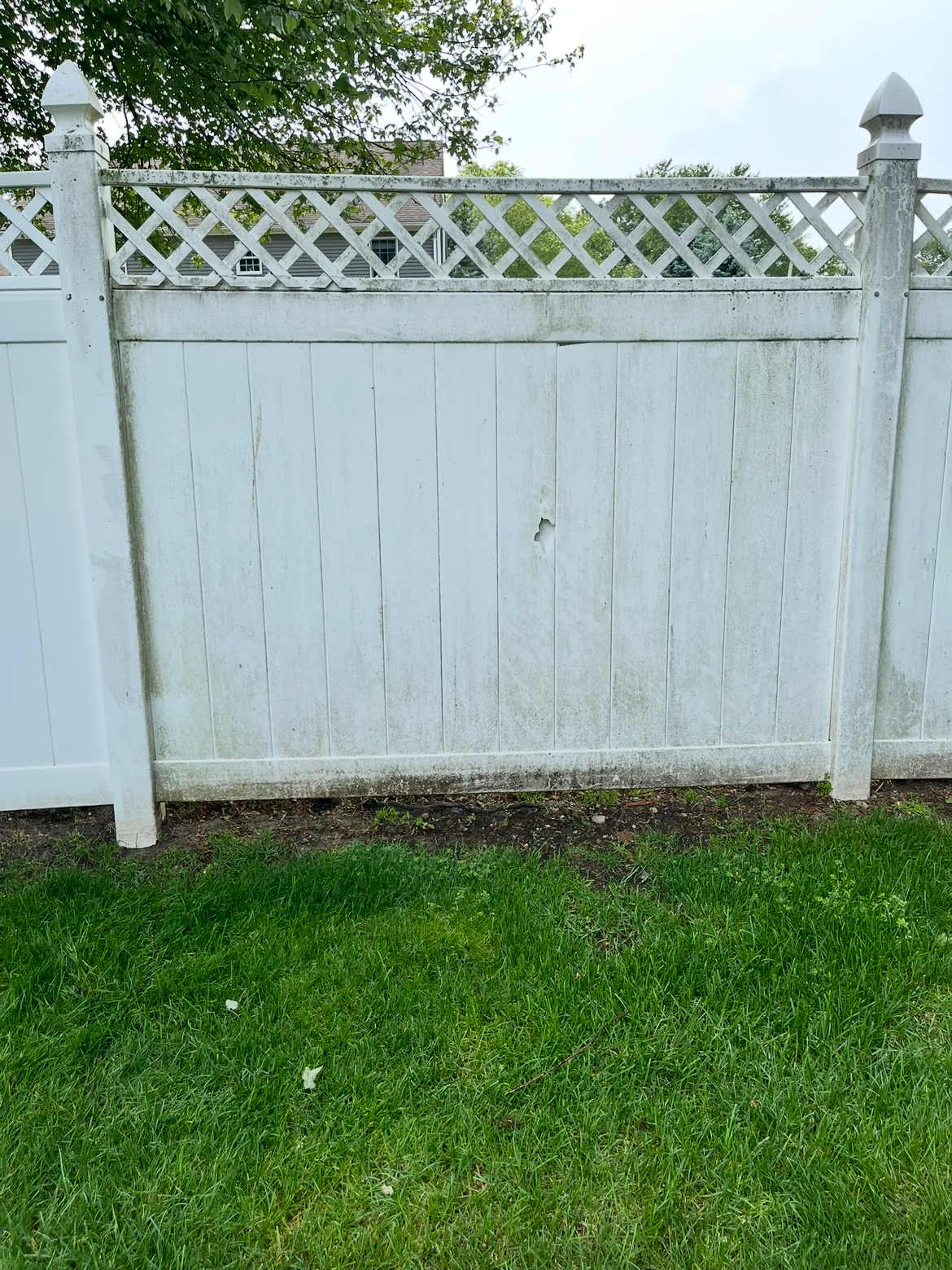 Before – fence cleaning